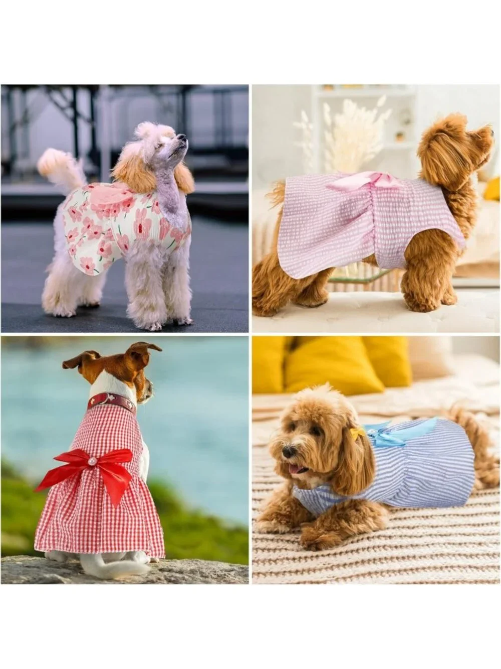 8 Cute Dog Dresses for Small Dogs & Puppies - Bowknot Skirts, Summer Apparel